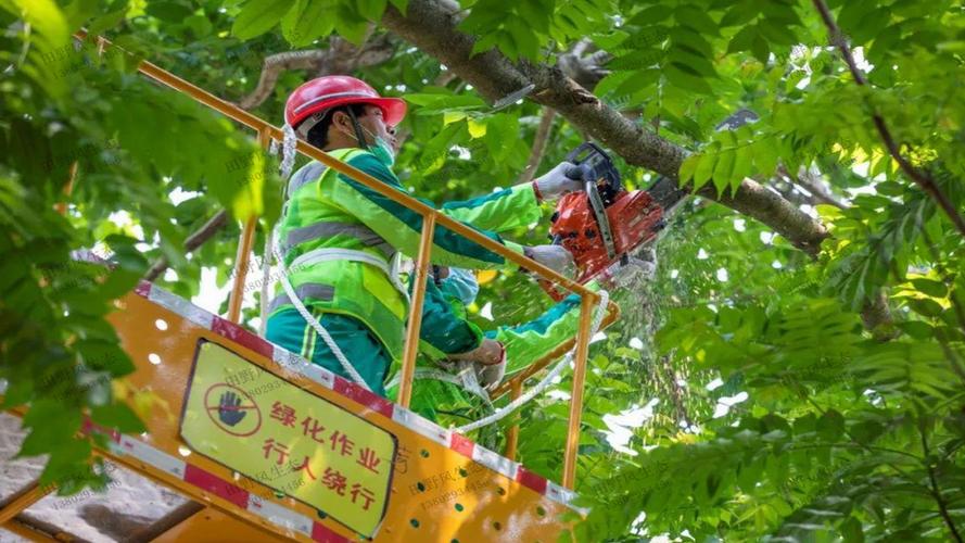 黄浦区景观绿化工程费用